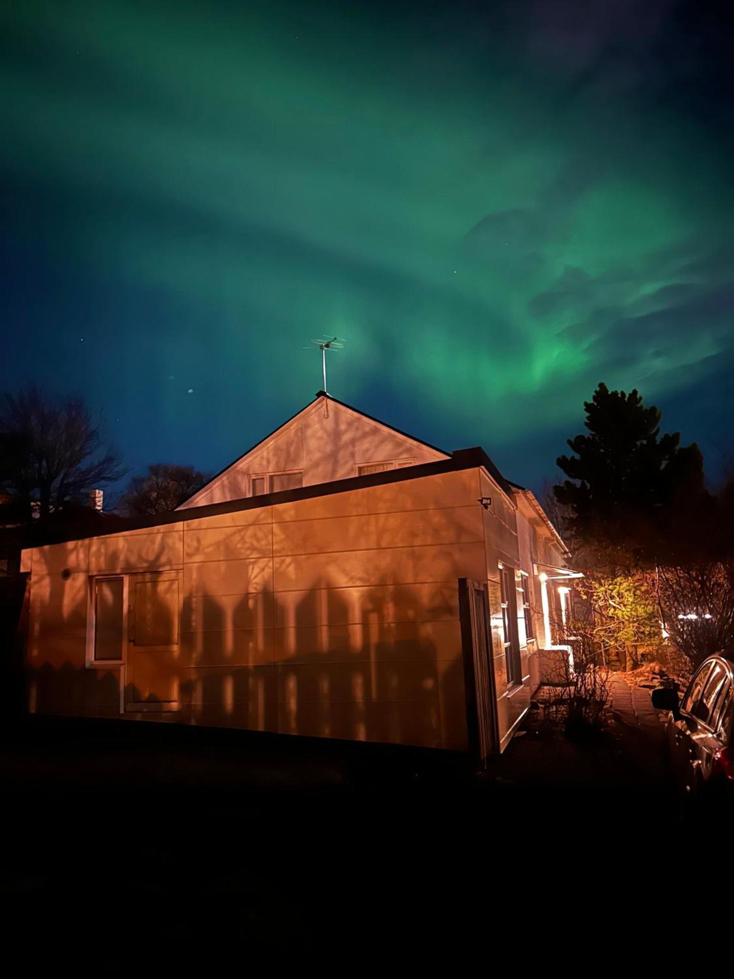 Studio 104- Free Parking Onsite -Private Entrance Reykjavik Bagian luar foto